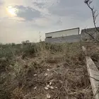 ام العظام بطحان