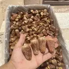 برني العيص( رقم1 الملكي الفاخر ) لتواصل -