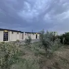 مجمع سكني للايجار بالكامل جديد للاستثمار كبري باحص