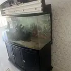 حوض سمك JEBO مع دولاب