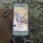 ايفون 7 للبيع