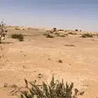 للبيع ارض 360 متر في مخطط الخير 3541