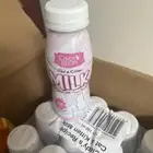 غذاء قطط