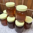 يوجد عسل للبيع