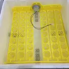 فقاسة بيض 48بيضه