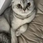 حيوانات