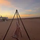 معلم مشويات خارجي شوي