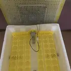 فقاسة بيض 48بيضه