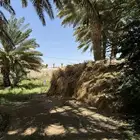 اعلاف