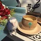 روز اليف