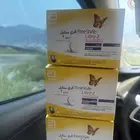 مجسس