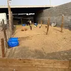 سوق الغنم نص حوش للايجار شهري 600