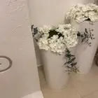 استقبال مواليد