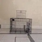 قفص بساس ارانب