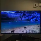 شاشة 2k ips 165hz