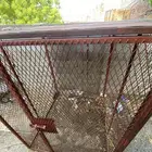 شبك دجاج البيع على السومه