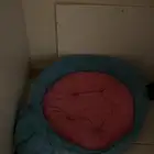 سرير قطط جديد