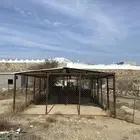 شبك