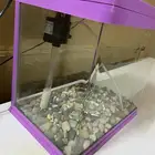 حوض سمك. وسكوتر. وساعة