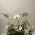 مدخل ورد