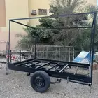 قلص شبه جديد