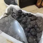 عجوة فاخرة