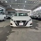 التيماء ستاندر