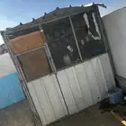 عشة او مطير روز