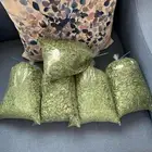 ورق مورينقا مجفف