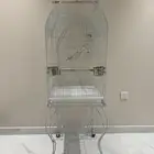 قفص ببغاء كبير