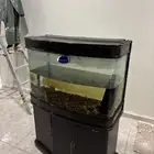 حوض سمك