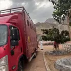 دينه خيل متواجدة بجدة