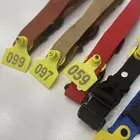 للبيع وتجهيز أطواق ترقيم الحلال والمواشي