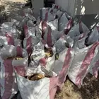 خبز ناشف