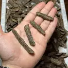 زوايا تراد تايلاندي