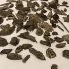 عود سيلاني دبل سوبر طبيعي 100 100 (( تم البيع )))