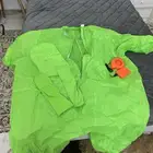 دب اخضر