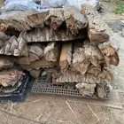 كرب وجذوع النخل