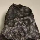 حجر نيزك Meteorite
