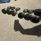 للبيع بساتم واذرعه مكينه باترول فتك اصليه ستاندر