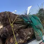 خلاص متواجد بحائل