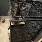 قفص ببغاء أو أي طير