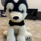 كلب