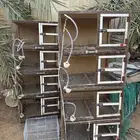 محاكر حمام