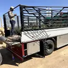 دنه الدوادمي