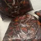 تمور حائل سلمى