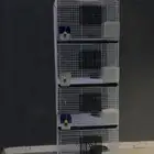 تم البيع   محاكر حمام