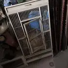 قفص كاسكو