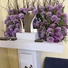 عربية شبكة جديدة