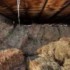 للبيع ذره الموقع الشملي رقم التواصل